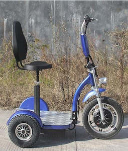 Zappy E trike with Golf caddy