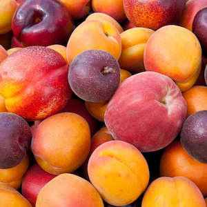 Fresh Fruit: Seasonal Mixed Fruit