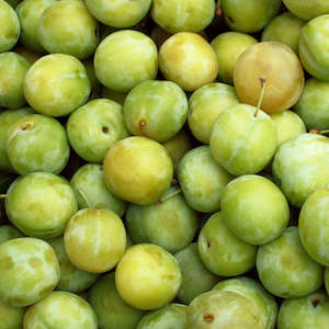 Seasonal Greengages