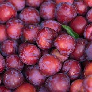 Fresh Fruit: Seasonal Plums