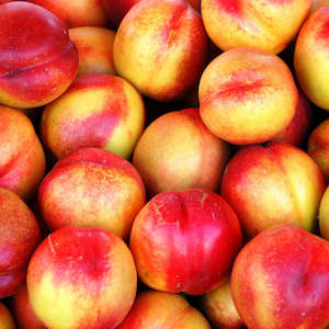 Seasonal Nectarines