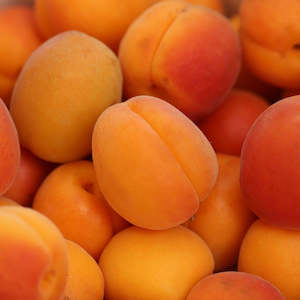 Fresh Fruit: Seasonal Apricots