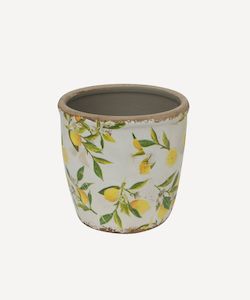 Botanical Lemon Pot Large