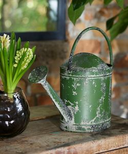 Garden and Outdoor: Vintage Metal Watering Can