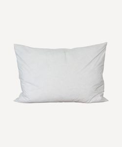 Home and Living: Feather Cushion Inner 65cmLx45cmW