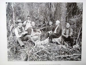 Arthur Northwood Photograph Print Okahu Bush Group