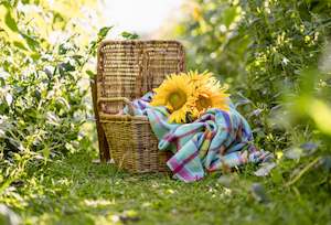 Linen - household: "Goody Goody Gum Drop" (New Wool) SINGLE New Zealand Wool Blanket