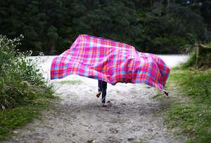 Linen - household: PINK MISFIT! (New Wool) SINGLE NZ Wool Blanket