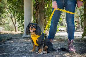 Pet: Vest Harness - Medium