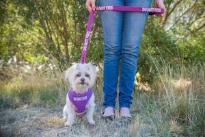 Pet: Vest Harness - Small