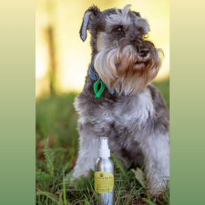 Homewares: Itchy N Scratchy Dog Spray - Full Circle Eco