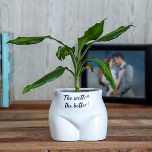 Internet only: Put Some Plants On Planter - The Wetter, The Better