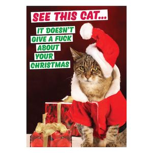 Christmas Greeting Card - See This Cat Christmas