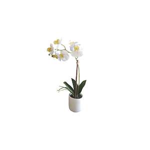 Furniture: Phalaenopsis Orchis With White Pot 33cm