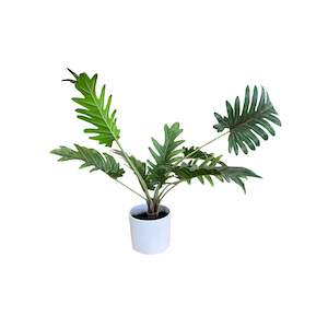 Furniture: Potted Xanadu Philodendron Plant