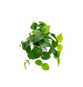 Furniture: Potted Philo Bush Plant