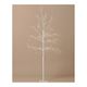 210cm White Arctic Birch Seed Light Tree