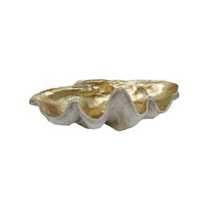 Furniture: Resin Clam Shell - Large Champagne