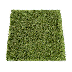 Pet: Replacement Grass for PupGo 55 Cat