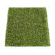 Replacement Grass for PupGo 55 Cat