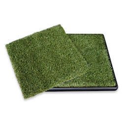 Pet: PupGo 55 Cat with Extra Grass Mat