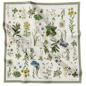 Chiara Coco: Botany Archive Moss 70cm