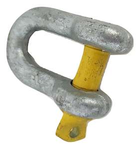 H173 - D-Shackle