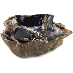 Petrified Wood Stone Basin (1619)