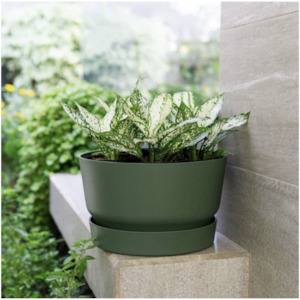 Sales agent for manufacturer: Greenville Bowl Planter