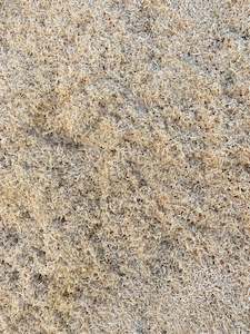 Bark Nuggets Mulches: Sawdust Untreated - Fresh