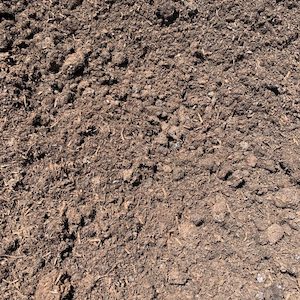 Soils Composts: Mushroom Compost