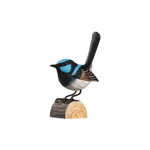 superb fairy wren bird