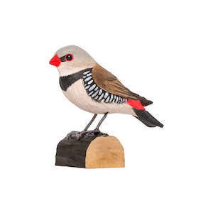 diamond firetail bird