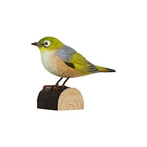 silvereye bird