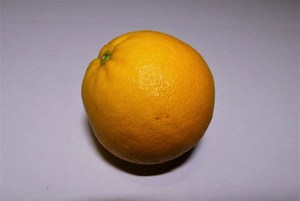 Oranges – NZ Navel 1kg