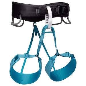 Camping equipment: Black Diamond Momentum 3S Womens Climbing Harness