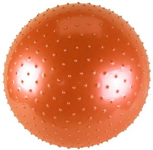 Camping equipment: Maxfit Massage Gym Ball 55cm