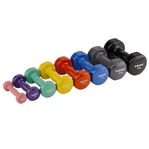 Camping equipment: York Vinyl Dipped Dumbbell