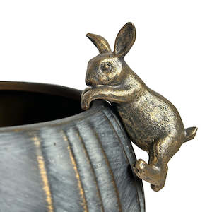 Rabbit - Hanging Rim