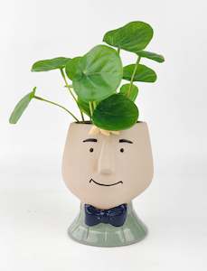 Gift: Boy Planter Sage 12cm