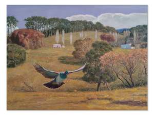 Gift: The view with flying wood pigeon