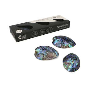 Gift: Paua Gems in box Set of 3