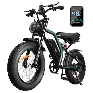 48km/h 20“ Off-Road Tire Removal Battery Electric Bike Dirt Bike K6