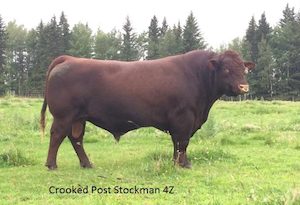 Farm produce or supplies wholesaling: Stockman 4z (p)