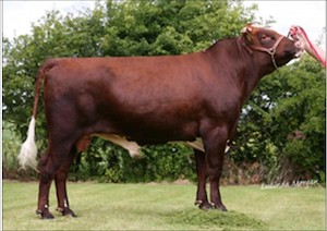 Fairway EX93