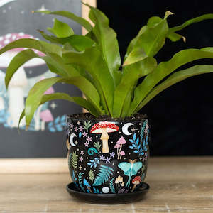 Gifts: Dark Forest Plant Pot & Saucer