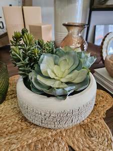 Artificial Succulents