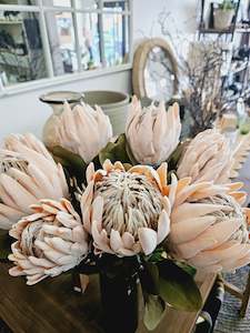 Artificial Proteas