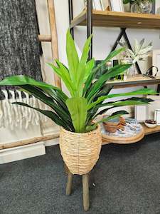 Artificial Dracaena