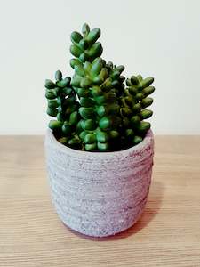 Small Artificial Succulent